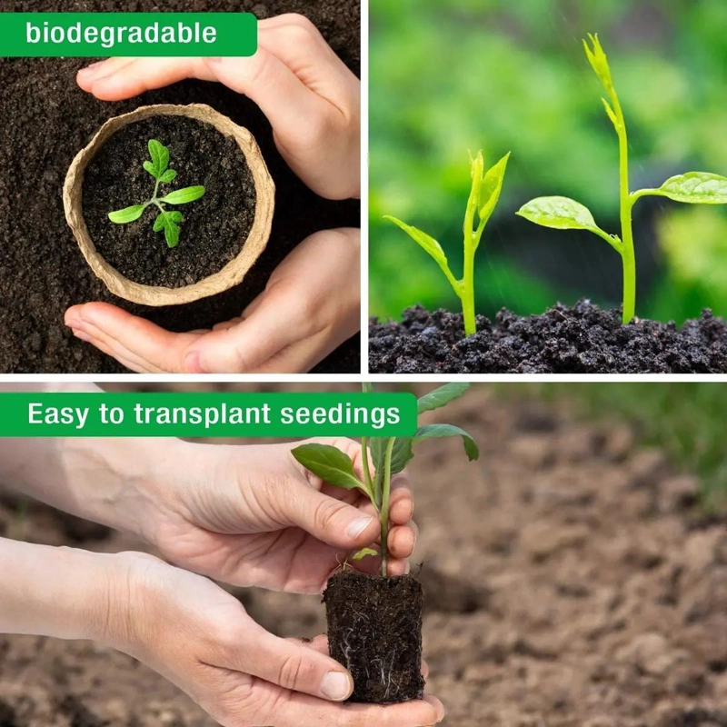 SET DE 50 MACETEROS BIODEGRADABLES DE 6X6 CM PARA CULTIVO CON ETIQUETAS - 4