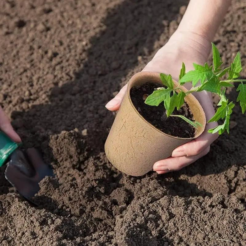 SET DE 50 MACETEROS BIODEGRADABLES DE 6X6 CM PARA CULTIVO CON ETIQUETAS - 5