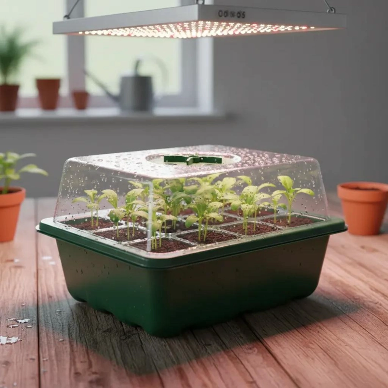 KIT DE 3 GERMINADORES PARA CULTIVO DOME STICO DE SEMILLAS - 2