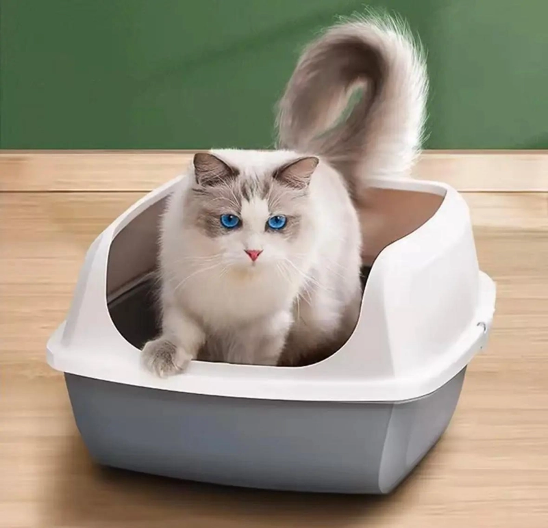 ARENERO GRANDE ABIERTO PARA GATOS CON PALA SANITARIA INCLUIDA - 3
