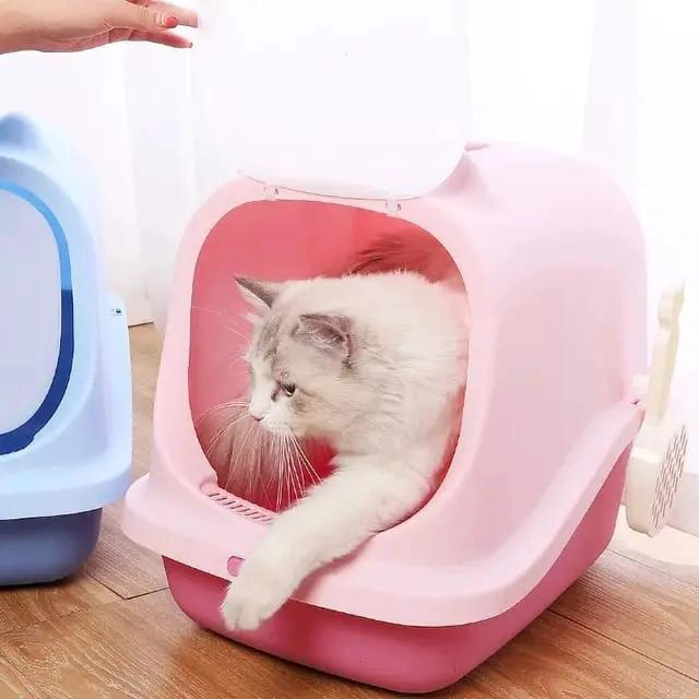 ARENERO SANITARIO CERRADO PARA GATOS GRANDE CON PALA INCLUIDA - 4