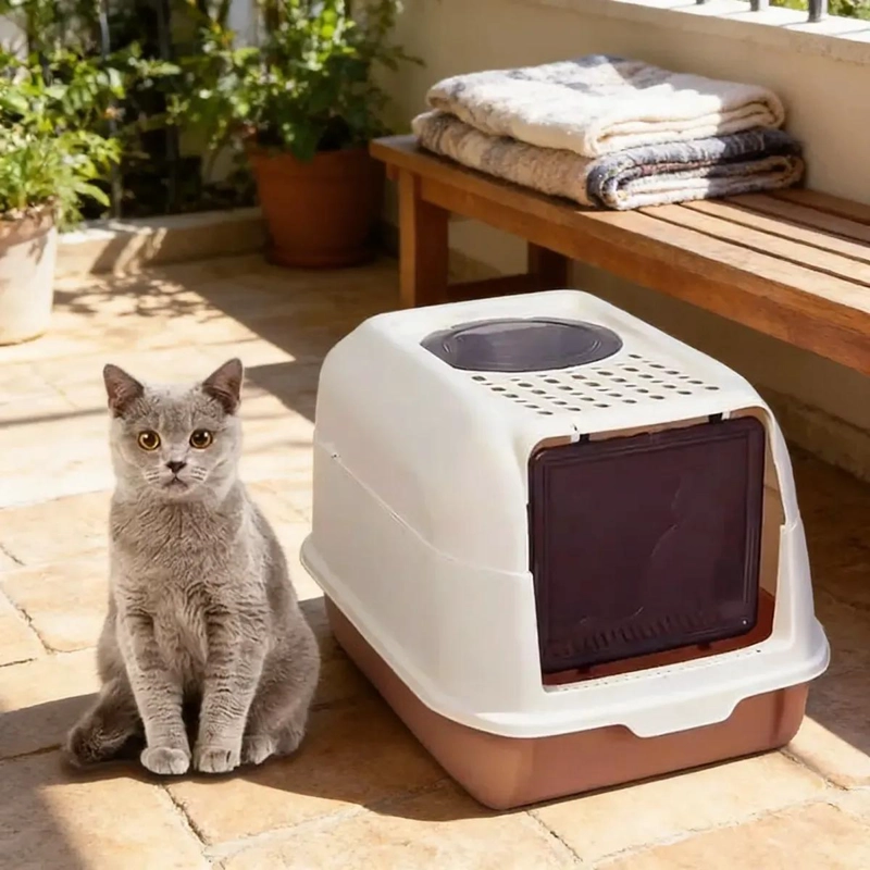ARENERO CERRADO PARA GATOS TAMAÑO XL CON DISEÑO SANITARIO - 3