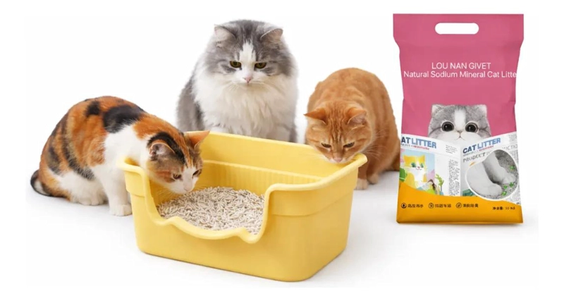 ARENERO PARA GATO DE 50 CM CON PALA Y ARENA MINERAL INCLUIDA - 1
