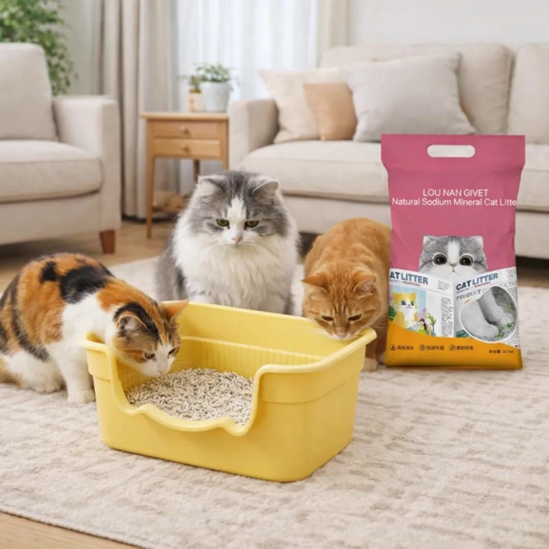 ARENERO PARA GATO DE 50 CM CON PALA Y ARENA MINERAL INCLUIDA - 4
