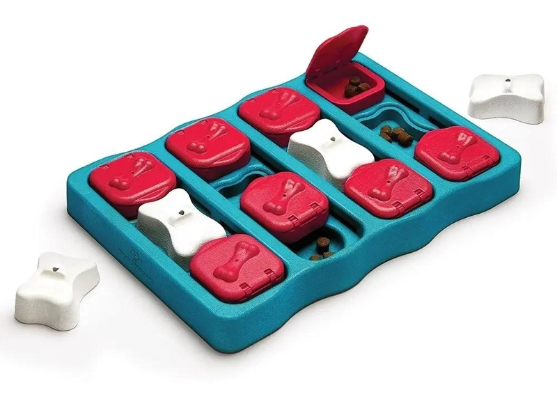 JUEGO DE ROMPECABEZAS PARA PERROS NIVEL INTERMEDIO CON BLOQUES - 1