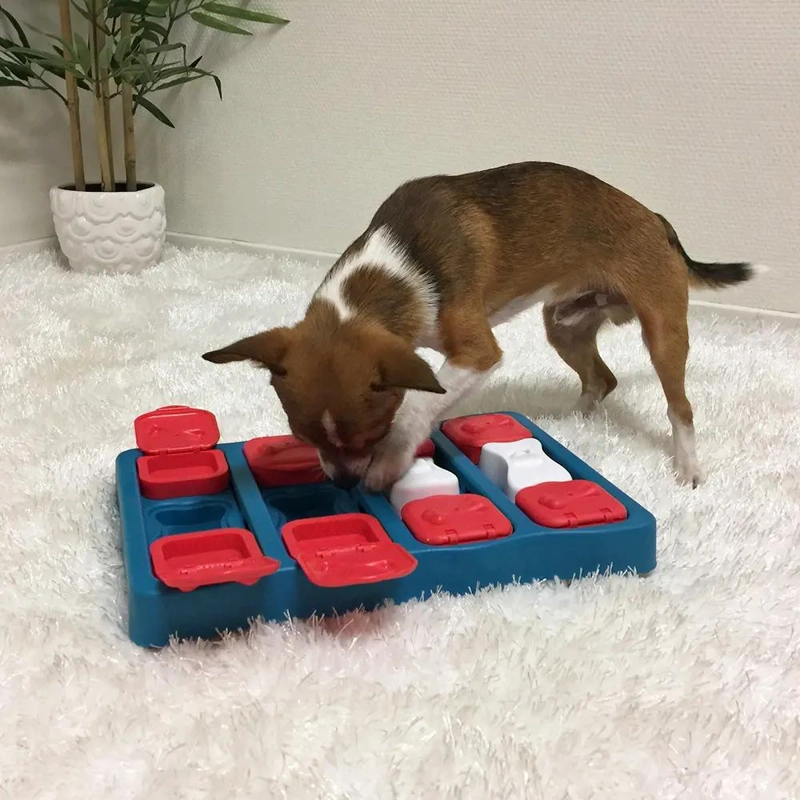 JUEGO DE ROMPECABEZAS PARA PERROS NIVEL INTERMEDIO CON BLOQUES - 3