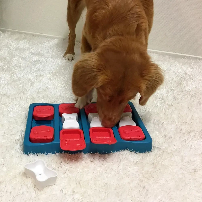 JUEGO DE ROMPECABEZAS PARA PERROS NIVEL INTERMEDIO CON BLOQUES - 4