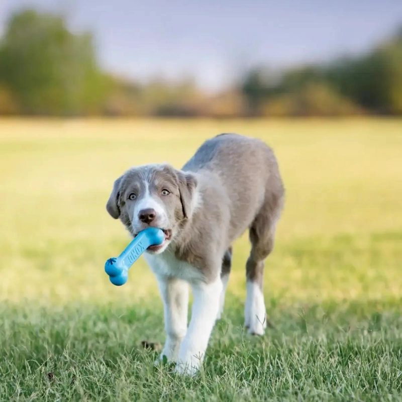 HUESO RELLENABLE PARA PERRO TAMAÑO PEQUEÑO PARA ENTRENAMIENTO - 2