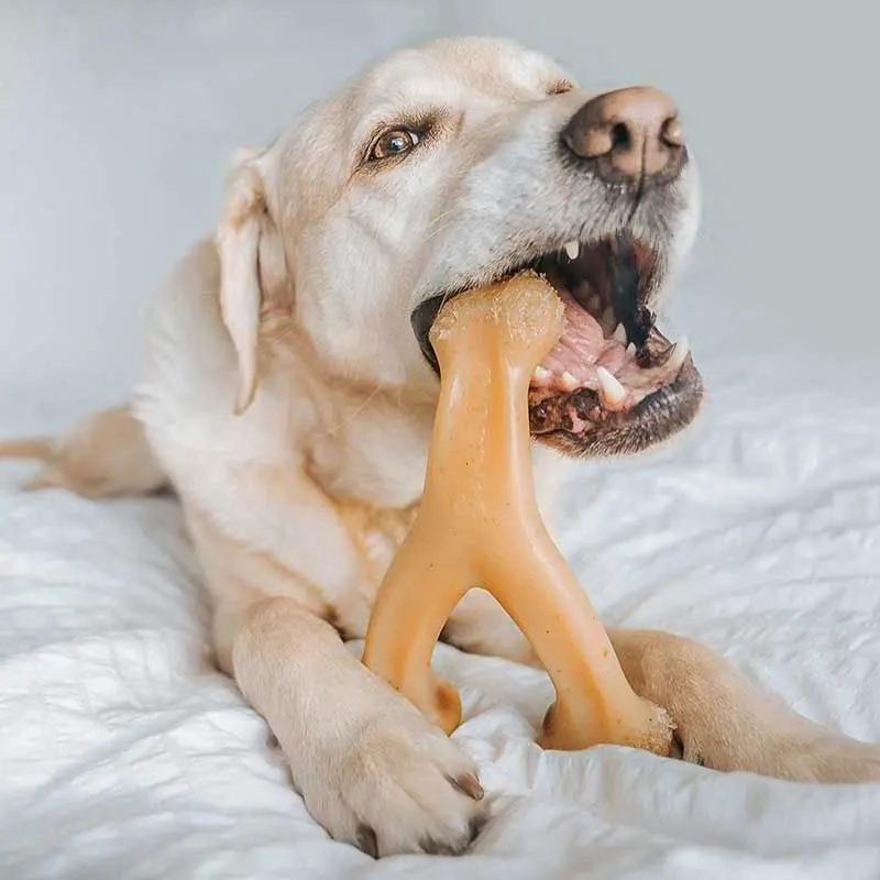 JUGUETE PARA PERROS EN FORMA DE HUESO CON SABOR A POLLO PEQUEÑO - 4