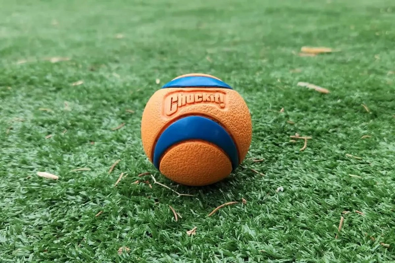 PELOTA ULTRA RESISTENTE PARA PERROS TAMAÑO MEDIANO - 5