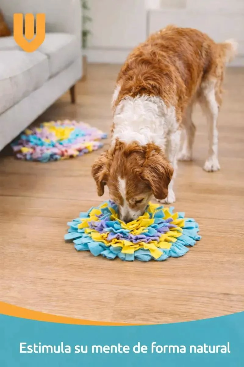 TAPETE PARA ESTIMULACION MENTAL CANINA CON JUEGO DE OLFATO PARA CALMAR ANSIEDAD - 3