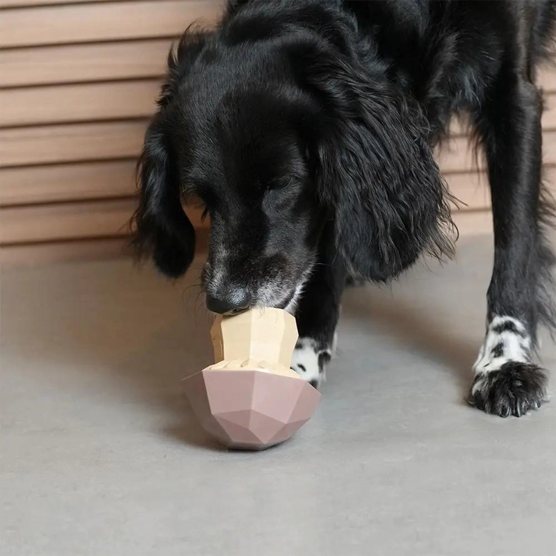 DISPENSADOR INTERACTIVO DE PREMIOS PARA PERROS CON DISEÑO VEGETAL - 4