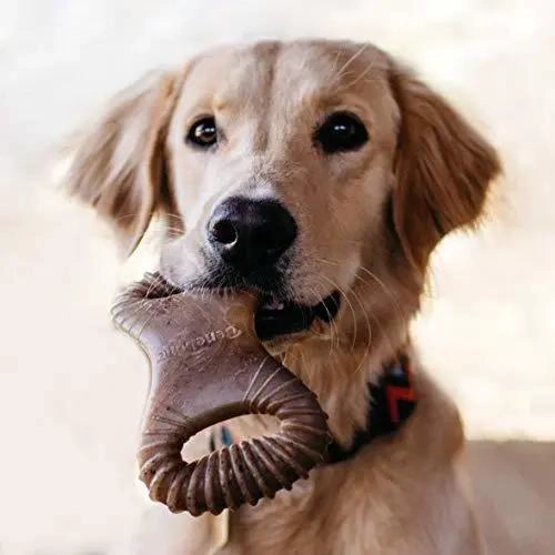 HUESO DE GOMA PARA HIGIENE DENTAL DE PERRO PEQUEÑO SABOR POLLO - 2