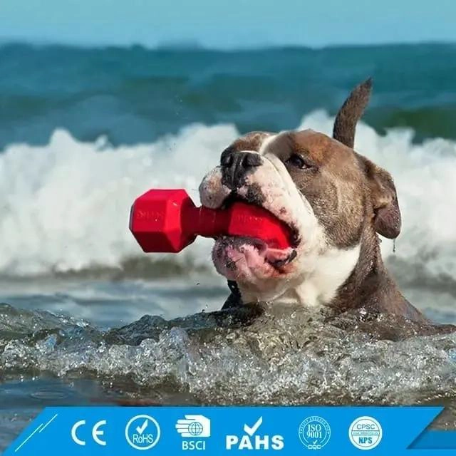 JUGUETE MORDEDOR EXTRA RESISTENTE PARA PERROS TIPO KONG - 5