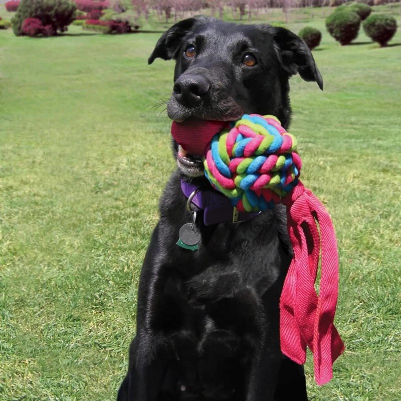 JUGUETE DE CUERDA PARA MASCOTAS CON DISEÑO ENTRELAZADO TAMAÑO PEQUEÑO - 4
