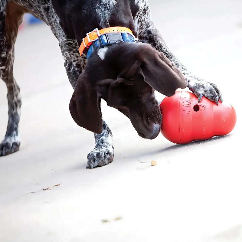 JUGUETE INTERACTIVO PARA PERRO TAMAÑO GRANDE COLOR ROJO - 2