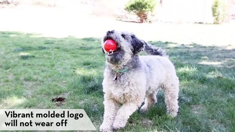 PELOTA SALTARINA PARA PERRO TAMAÑO MEDIANO CON GOMA RESISTENTE - 5