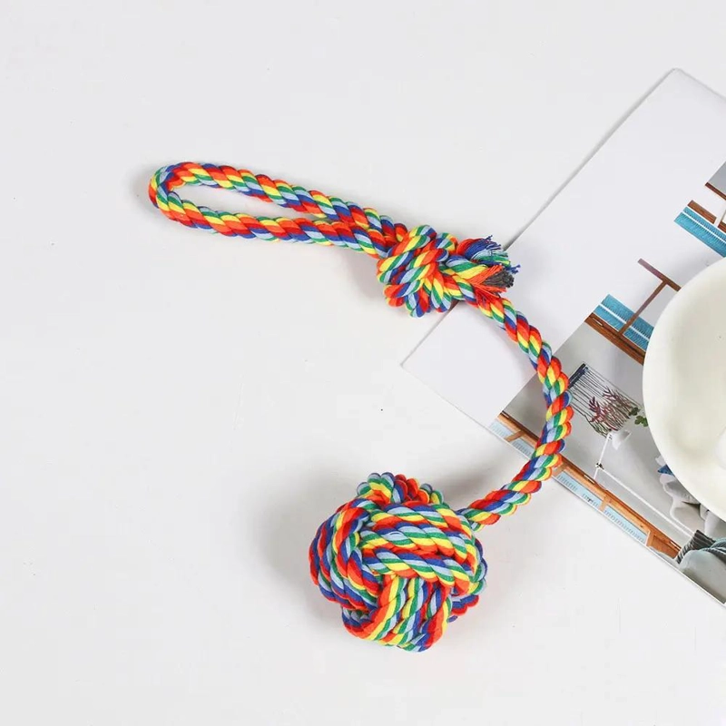 SET DE 12 JUGUETES PARA PERRO CON DISCO, PELOTA, CUERDA Y MAS - 3