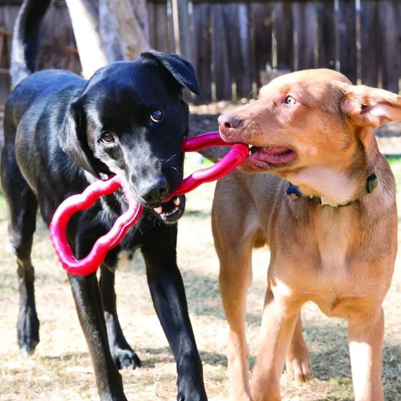 JUGUETE DE CUERDA RESISTENTE PARA PERROS CON DISEÑO DE NUDOS - 2