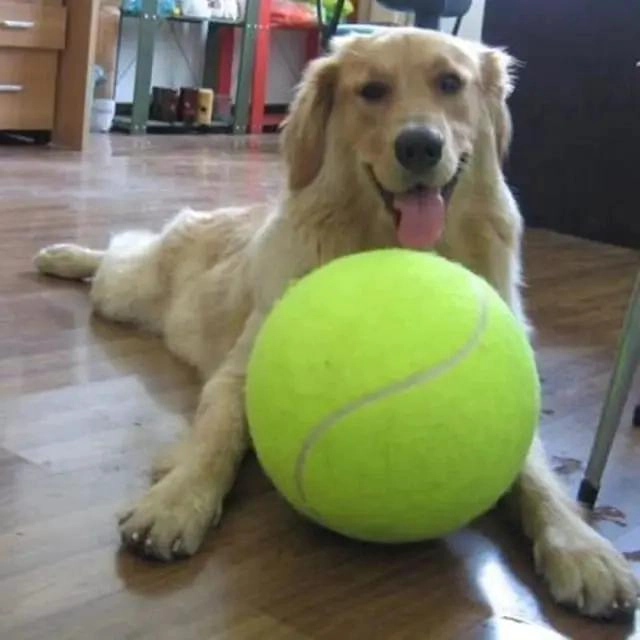 PELOTA GIGANTE PARA PERROS GRANDES DE 24 CM PARA JUEGOS Y ENTRENAMIENTO - 2