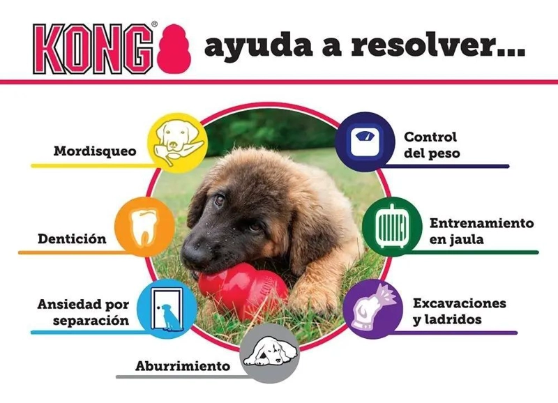 JUGUETE INTERACTIVO PARA PERROS WOBBLER TAMAÑO GRANDE - 4