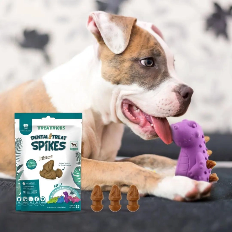 SET DE JUGUETES INTERACTIVOS PARA PERROS CON DISEÑO T-REX Y CEPILLO DENTAL - 4