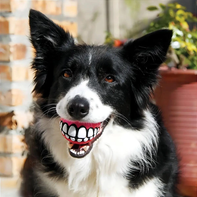PELOTAS PARA PERROS TAMAÑO MEDIANO DE 3 PULGADAS CON DISEÑO SONRISAS - 2