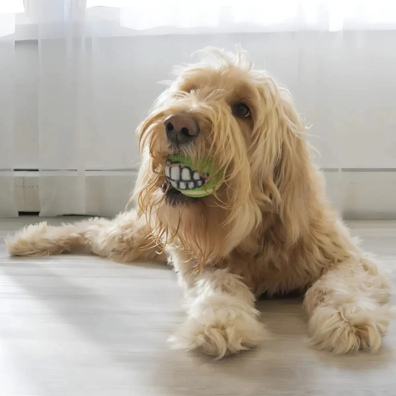 PELOTAS PARA PERROS TAMAÑO MEDIANO DE 3 PULGADAS CON DISEÑO SONRISAS - 4