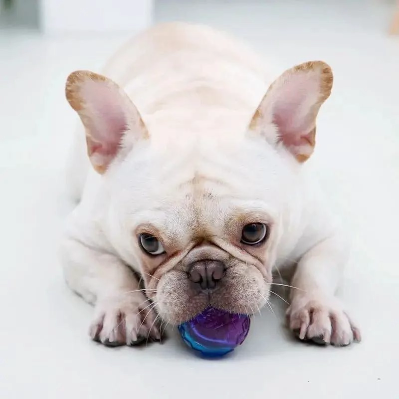 PELOTAS PARA PERROS CON SONIDO SQUEAK TAMAÑO MEDIANO PACK 2 UNIDADES - 4