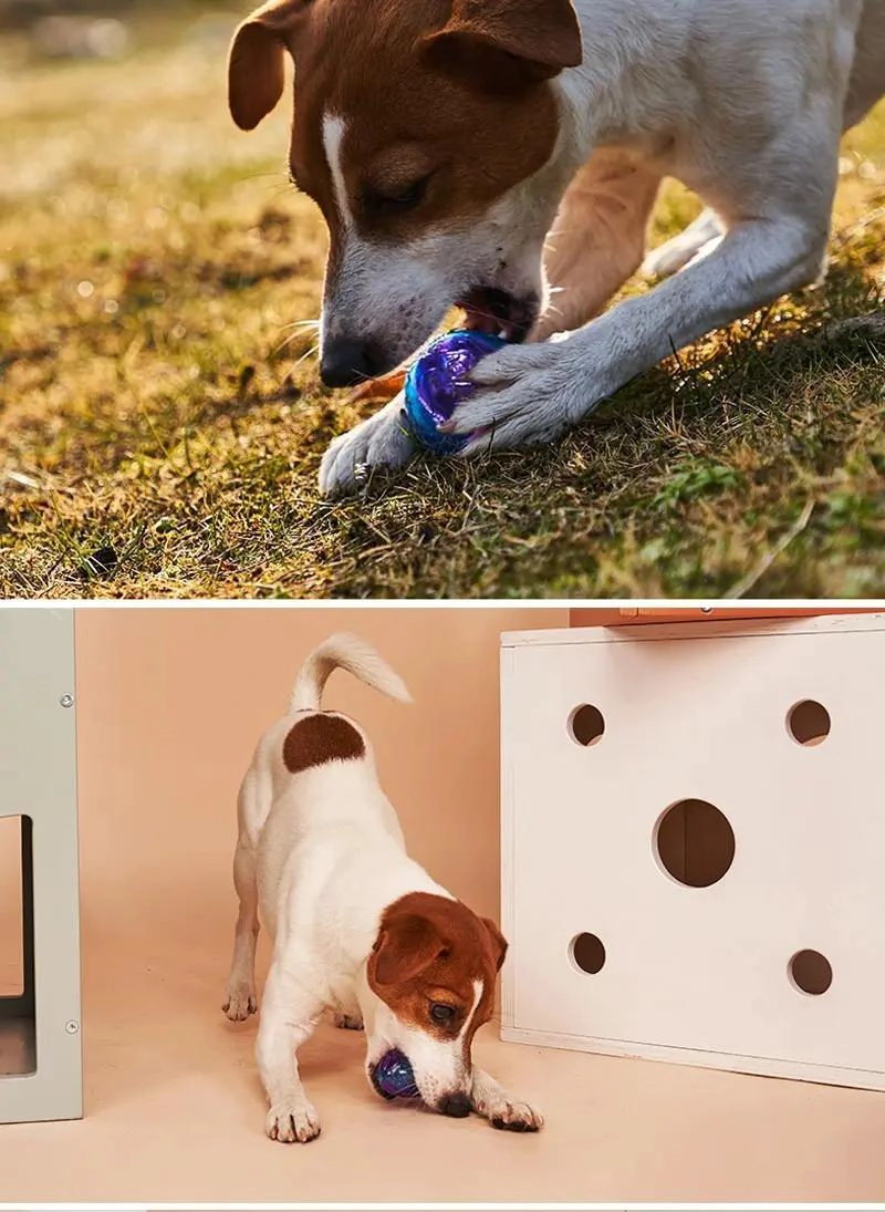 PELOTAS PARA PERROS CON SONIDO SQUEAK TAMAÑO MEDIANO PACK 2 UNIDADES - 5