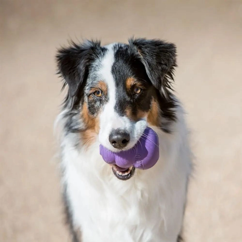 JUGUETE INTERACTIVO PARA PERROS TALLA GRANDE DE 13 A 30 KG - 2