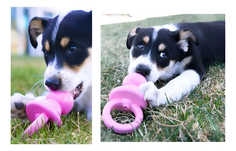 JUGUETE PARA PERRO DE CAUCHO NATURAL COLOR ROSA TAMAÑO PEQUEÑO - 4