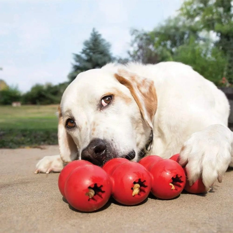 JUGUETE PARA PERROS CON CINTA DE COLORES RESISTENTE Y SEGURO - 2