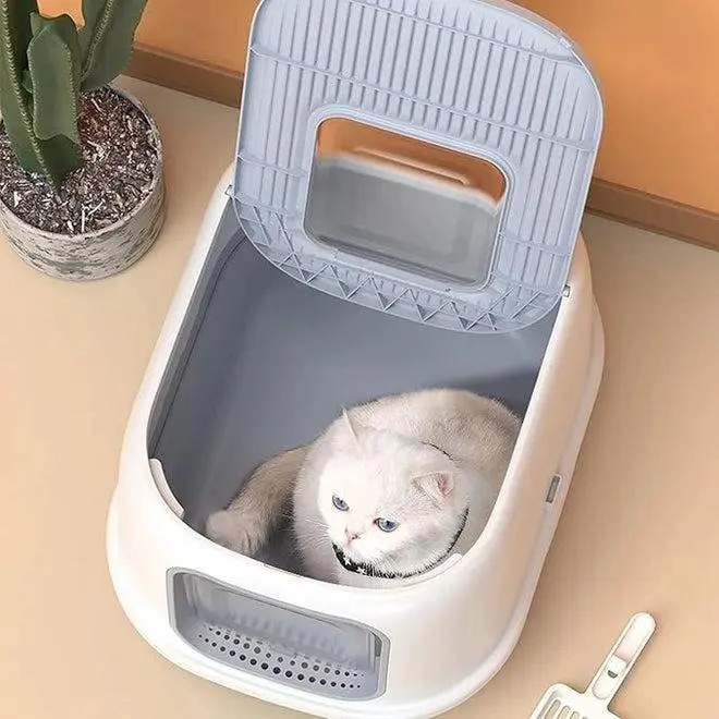 ARENERO CERRADO PARA GATOS TAMAÑO XL CON SISTEMA SANITARIO - 2