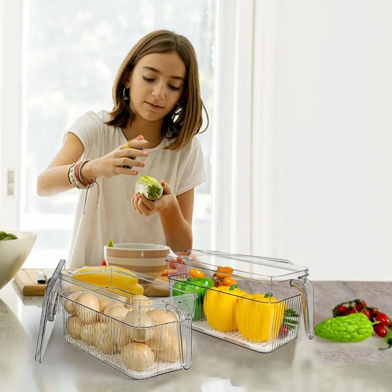 CAJA ORGANIZADORA PARA REFRIGERADOR Y COCINA CON TAPA Y MANGO - 4
