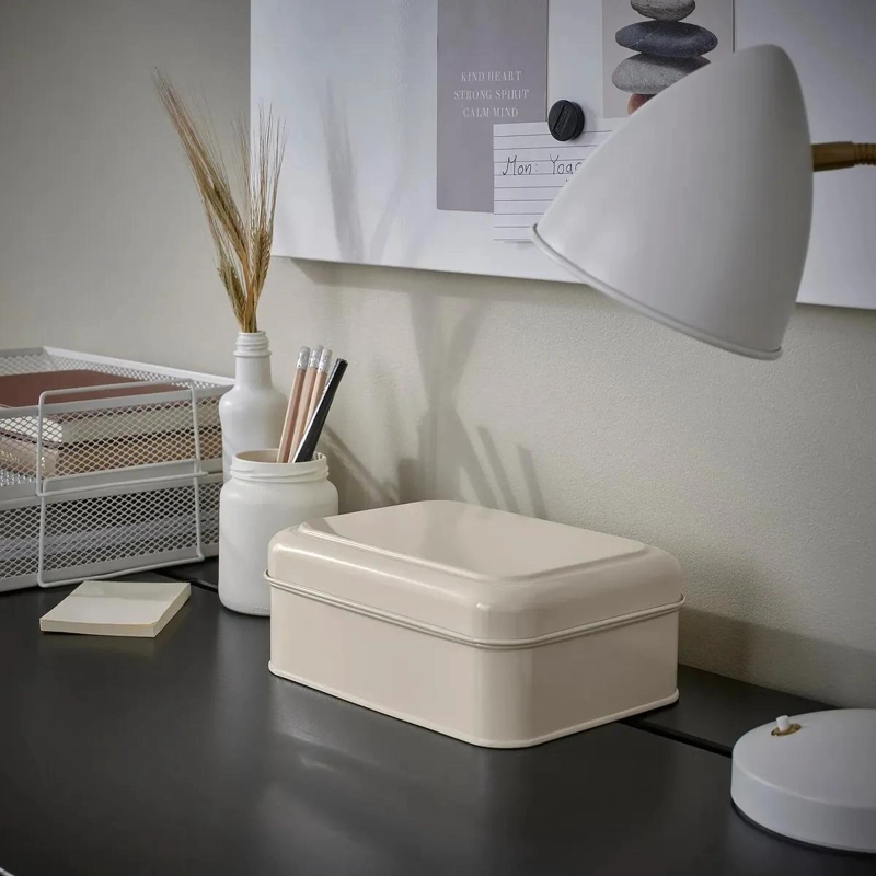 CAJA ORGANIZADORA DE METAL CON TAPA BEIGE 22X16X8 CM - 2