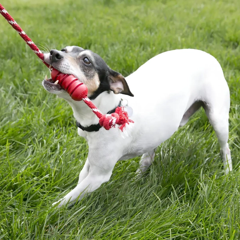 JUGUETE PARA PERRO CON SOGA Y GOMA DENTAL COLOR ROJO TAMAÑO PEQUEÑO - 2