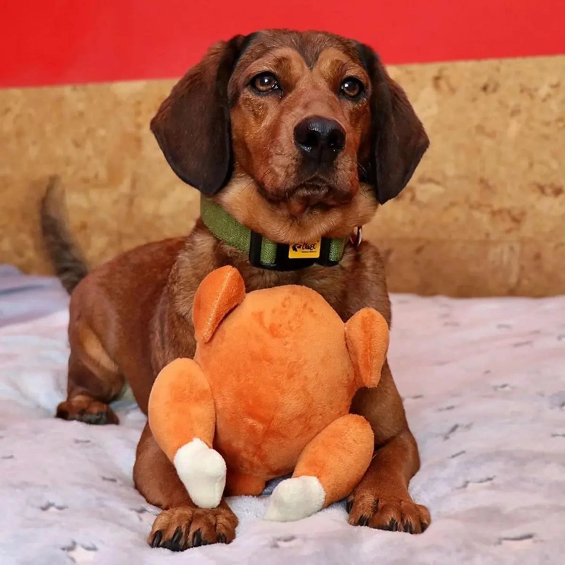 JUGUETE DE PELUCHE PARA PERRO CON FORMA DE POLLO ASADO SUAVE Y RESISTENTE - 2
