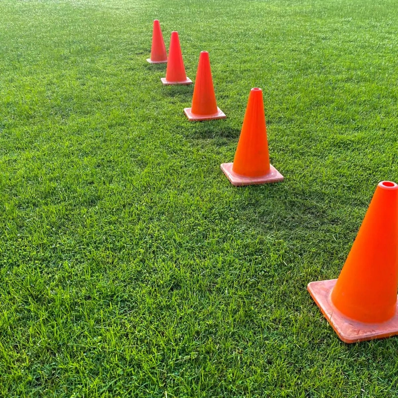 CONOS DE ENTRENAMIENTO DE 23 CM PARA CROSSFIT Y DEPORTE - 3