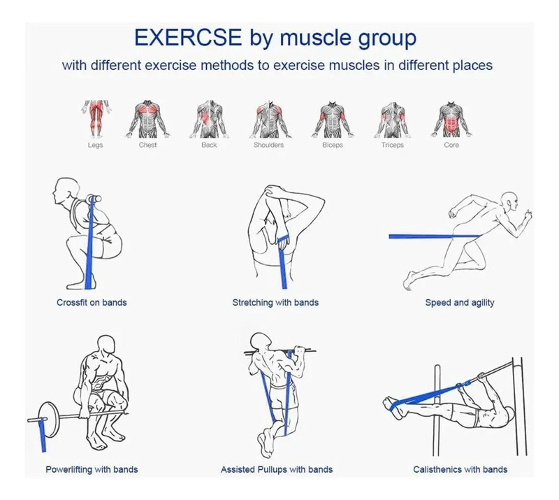SET COMPLETO DE 4 BANDAS LARGAS PARA CALISTENIA Y CROSSFIT CON ACCESORIOS - 5
