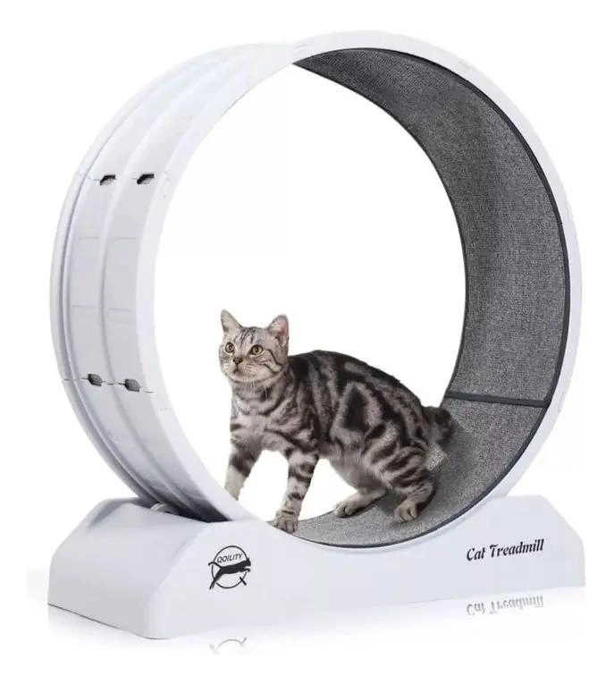 RUEDA DE EJERCICIOS PARA GATOS TAMAÑO XL 80 CM PARA ENTRENAMIENTO ACTIVO - 1