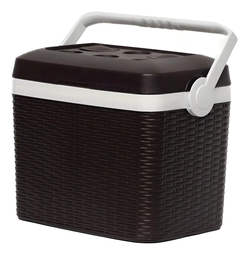NEVERA PORTATIL DE 35 LITROS CON DISEÑO DE RATAN PARA CAMPING - 1