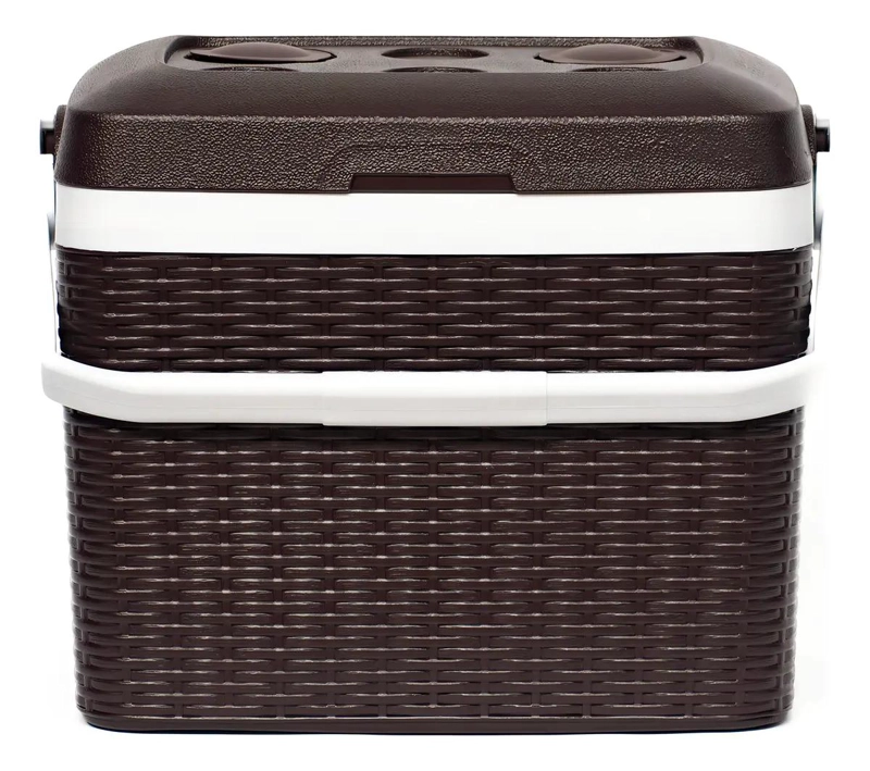 NEVERA PORTATIL DE 35 LITROS CON DISEÑO DE RATAN PARA CAMPING - 2