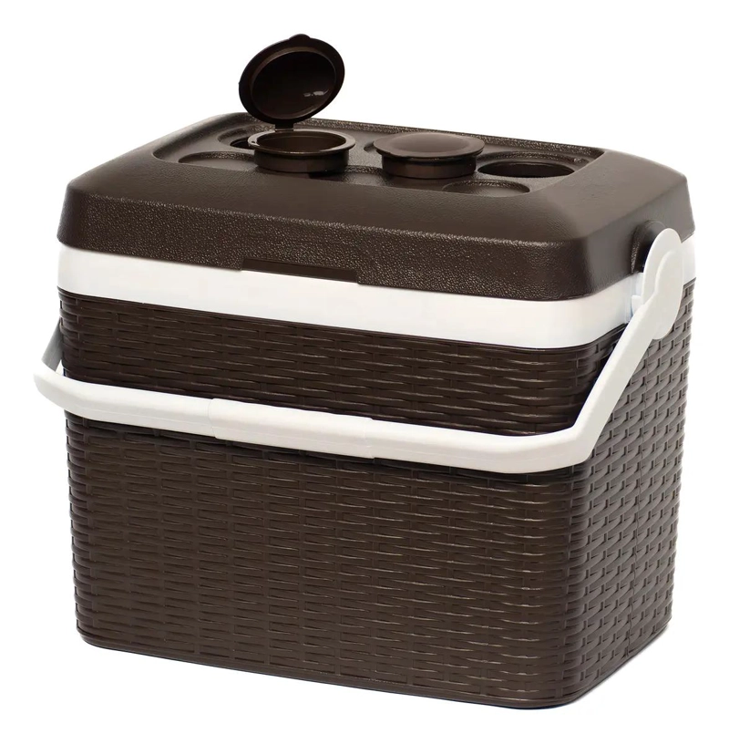 NEVERA PORTATIL DE 35 LITROS CON DISEÑO DE RATAN PARA CAMPING - 3