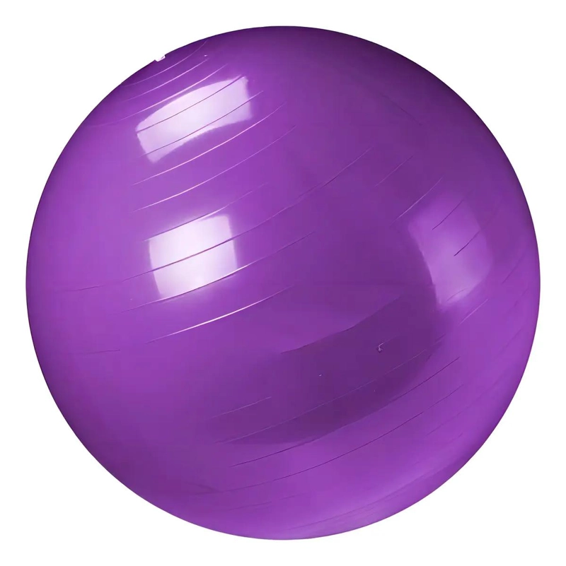 PELOTA DE GIMNASIA PARA PILATES Y YOGA DE 65 CM CON BOMBA MANUAL - 2