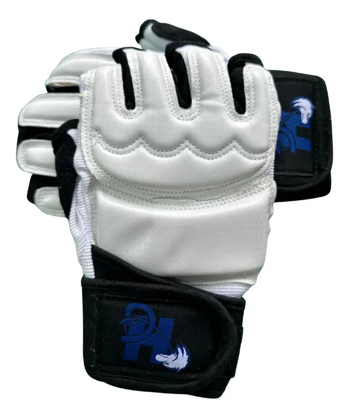 KIT DE PROTECCION PARA TAEKWONDO CON GUANTILLA Y EMPEINERA - 1