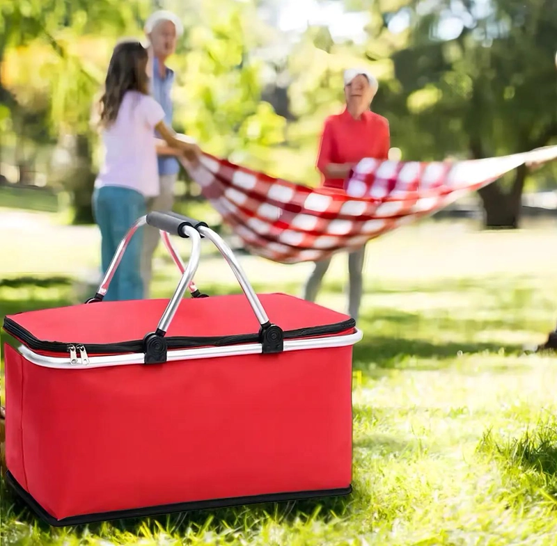BOLSO TE RMICO PLEGABLE PORTATIL PARA PICNIC Y COOLER - 2