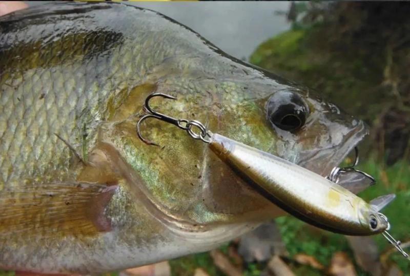 PACK DE 10 SEÑUELOS DE PESCA DE 7.2 CM PARA LENGUADO Y CORVINA - 5