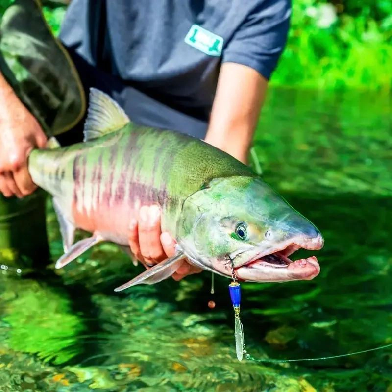 KIT COMPLETO DE 101 PIEZAS PARA PESCA CON SEÑUELOS, MOSCAS Y ANZUELOS - 2