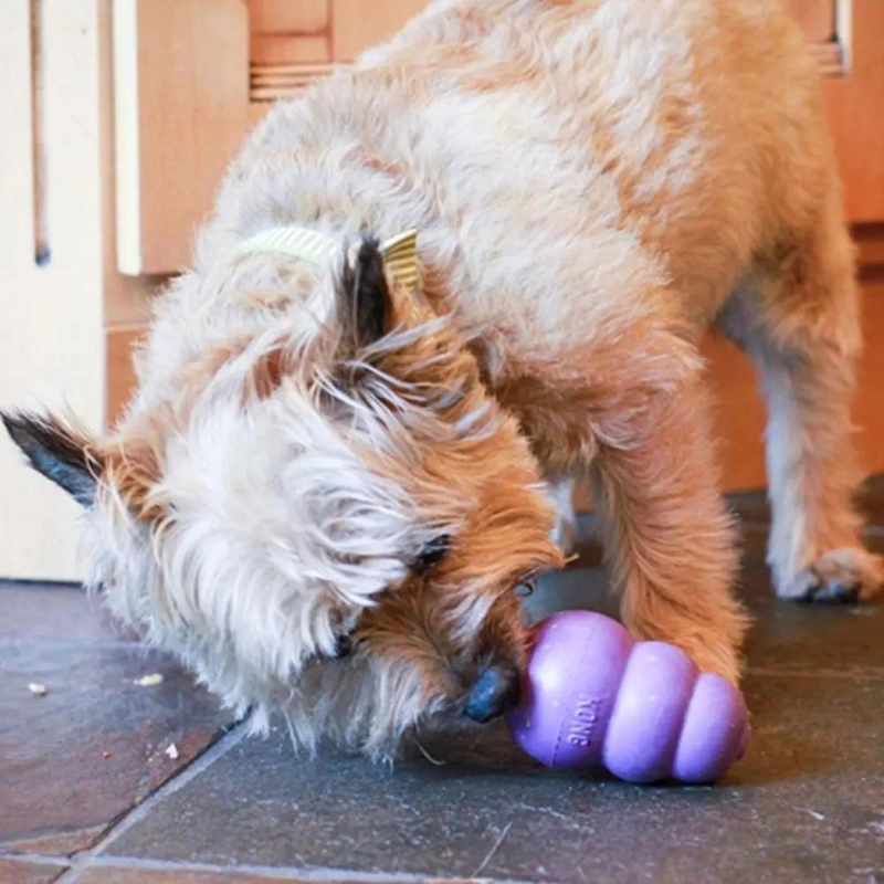 JUGUETE INTERACTIVO PARA PERROS ADULTOS TALLA PEQUEÑA HASTA 9 KG - 2